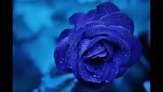 Ты так красива