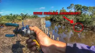 Siapkan Mental‼️ Musim Ikan Mulai Tercium | Casting Gabus