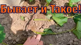 Внеплановые работы