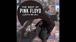 P I N K - F L O Y D / B E S T - O F / A - F O O T - I N - T H E - D O O R