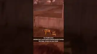 state of decay 2|Gotta love the bugs! 💚