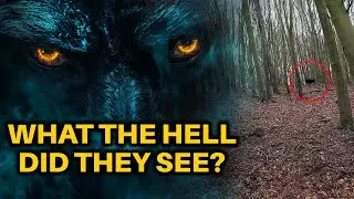 People Share Chilling Woods Encounter Stories