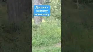 дорога к святому источнику на лысой горе #отдых #лысаягора #святойисточник