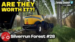 WAS IT WORTH DOING!? [Silverrun Forest] FS22 Let's # 28