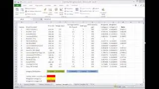Optimal Weights (video-09)