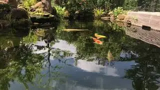 Relax