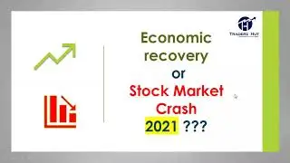 Stock Market Crash or Economic Recovery in 2021 ???