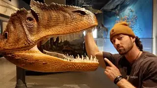 I'm 30 | My Love for Dinosaurs
