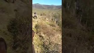 Конная охота