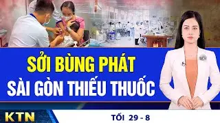 TỐI 29/8: Cá heo tấn công người do cô đơn; Người dân Ukraine phải lựa chọn "chiến đấu hoặc lao động"