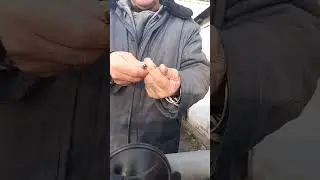 Вы советовали я отвечаю