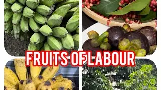 Fruits of  Labour