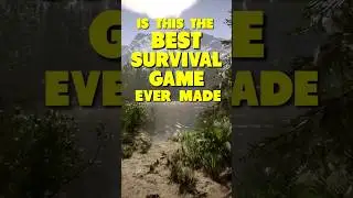 New Most Realistic Survival Game?