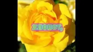 поздравление с днем участкового!