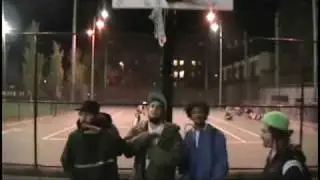 WILDSTYLE-OFFICIAL VIDEO