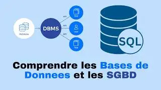🗄️ Databases and DBMS explained: Understand everything about databases and DBMS!