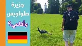 زيارة لجزيرة الطواويس في برلين | وجدت بيت من دون باب