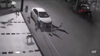 собаки починили машину под песню литл биг uno