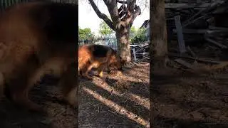 У Камары новый прикол🤣🤣🤣
