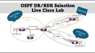 OSPF DR/BDR Selection - Live Cisco Lab