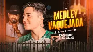 MEDLAY VAQUEJADA - Gabriel Fidelis & @Banda100Parea  | Arrocha & Vaquejada [OFICIAL]