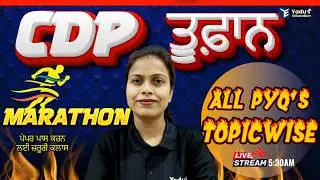 CDP | PSTET  | CTET | HTET | MARATHON 