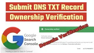 DNS Verification Google Search Console | Domain Verify TXT Record