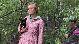Челябинские озёра Акуля Тайгинское. Или осторожно змея!