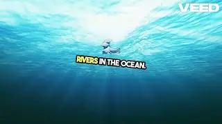 Unlocking Ocean's River Mysteries | River Under Ocean