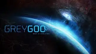 DVS Gaming Greygoo Interview