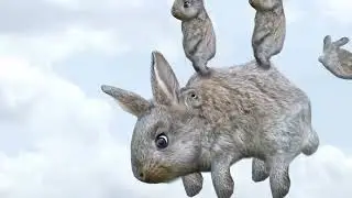 THE STRANGEST VIDEO ON YOUTUBE 5