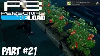 Persona 3 Reload - Part 21: Harvesting Crops! (EAT YOUR VEGGIES, PEAS! TROPHY)