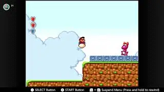 Birdo Boss Fight (Super Mario Bros. 2)