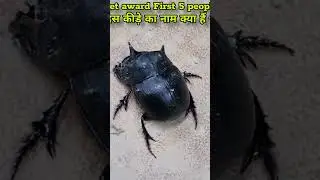 इनाम मिलेगा नाम बताने पर 