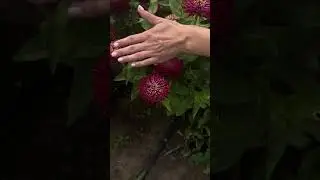Вне зоны доступа…