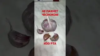 запах чеснока изо рта