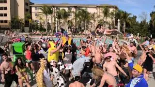 Harlem Shake (OFFICIAL Chapman Edition)