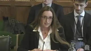 Estelle Dehon KC gives evidence to House of Commons Select Committee on Energy Security & Net Zero