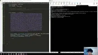 [Timelapse] - Raw Shellcode Injection using C#