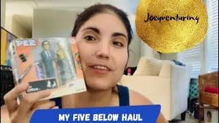 FIVE BELOW Haul