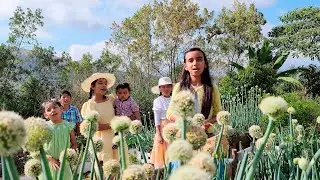 Si plantara un Jardín - Red ADvenir Music