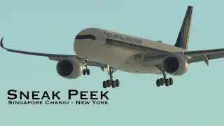 A350 Singapore Airways Butter | #shorts