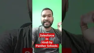 Salesforce Complete Development in Hindi by @pantherschools