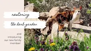 Our simple life in the countryside - and a small medieval French village