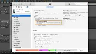 import from iDevice