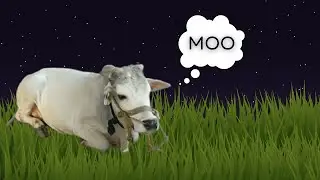 POV you're a cow grazing and eating grass at night