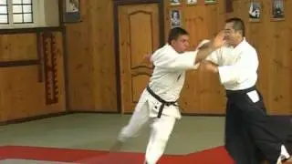 Renshinkai Aikido Jiyu Waza Demonstration by Sensei Chida Tsutomu, 05-10-2008