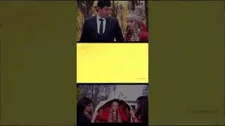 Turkmen toyy