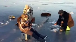 Рыбалка с сыном на Южном Буге 22.01.2017 г. Ч.1