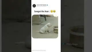 sangat ka asar #shorts #reels #funboy #funny_video #sangathka-asar